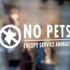 No Pets Allowed Sign-window sticker decal